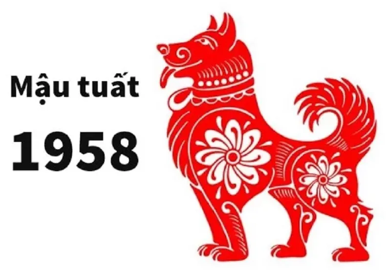 Tuổi Tuất năm 2024 sao gì? Chú ý ngay để tiêu tai giải nạn