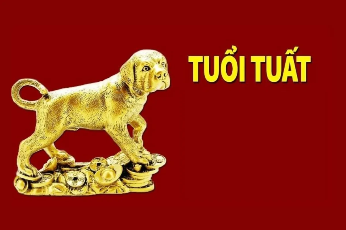 Tuổi Tỵ với tuổi Tuất có hợp nhau không? Hóa giải xung khắc để vận may thăng tiến