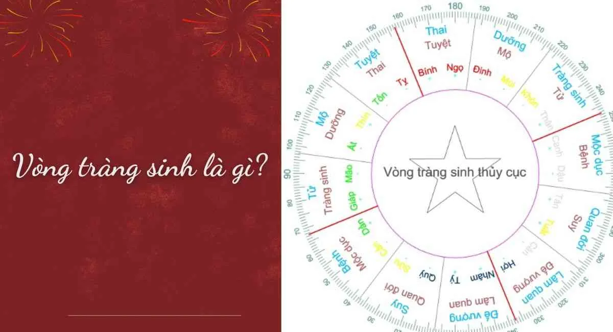 Vòng tràng sinh là gì? Giải mã ý nghĩa và cách sinh con theo ý muốn