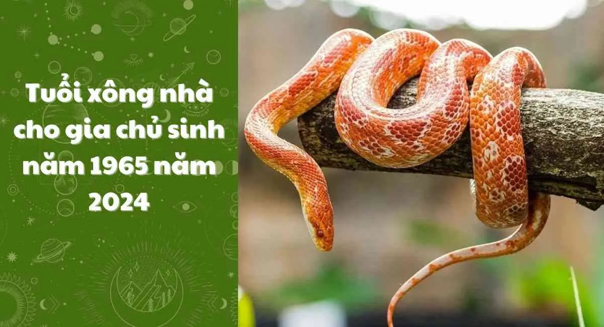 Xem tuổi xông nhà cho gia chủ sinh năm 1965 năm 2024, vượng tài khí, tránh tai ương