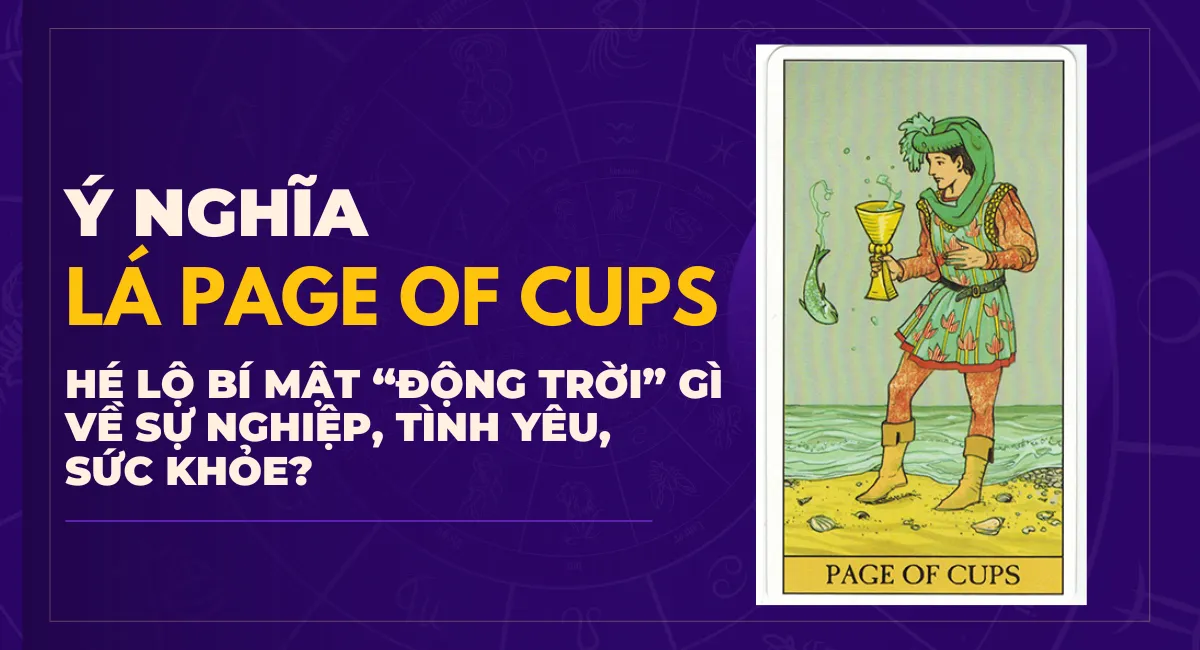 Ý nghĩa lá Page Of Cups trong Tarot: Sáng tạo, năng động nhưng dễ bị cám dỗ