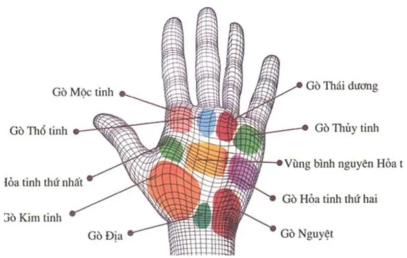 Ý nghĩa nốt ruồi trên gò Mộc Tinh, số được trời thương làm người thường cũng khó